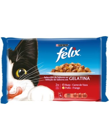 COMIDA GATOS FELIX GELAT, BUEY SOBRE PK-